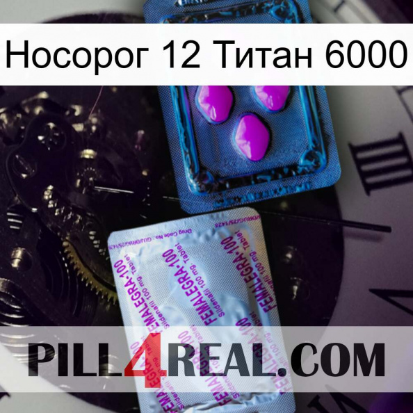 Носорог 12 Титан 6000 37.jpg